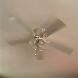 Meet your Posher, Dan